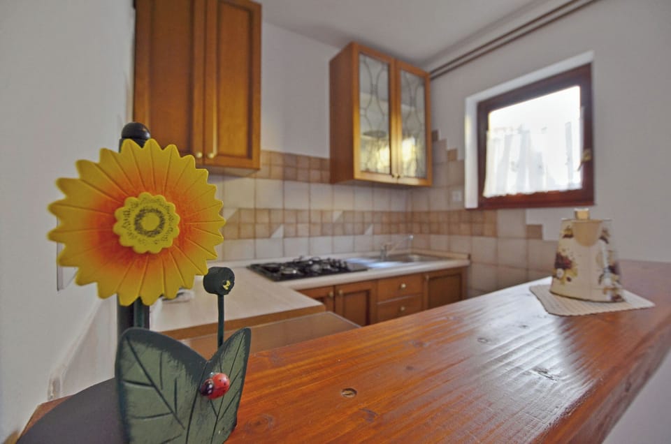 Apartment (A1) | Private kitchen | Fridge, stovetop, coffee/tea maker