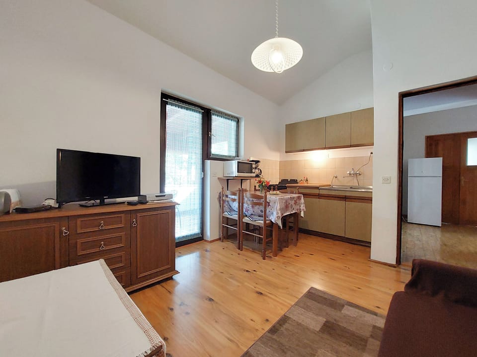 Apartment (A2) | Living room | TV