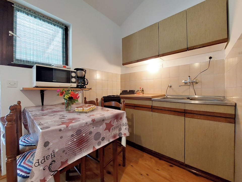 Apartment (A2) | Private kitchen | Fridge, microwave, oven, stovetop