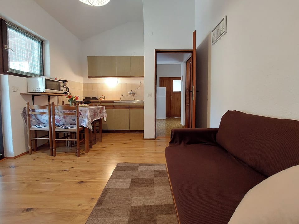 Apartment (A2) | Living room | TV