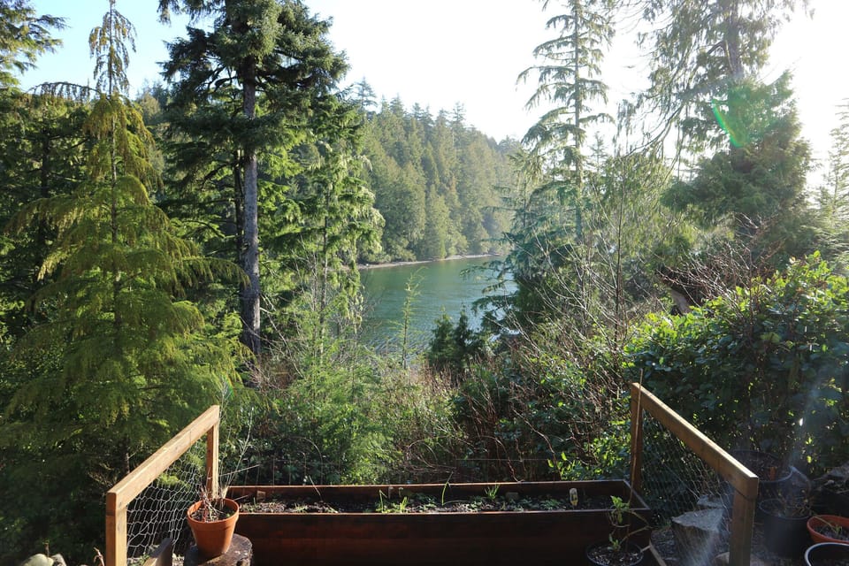 Our backyard