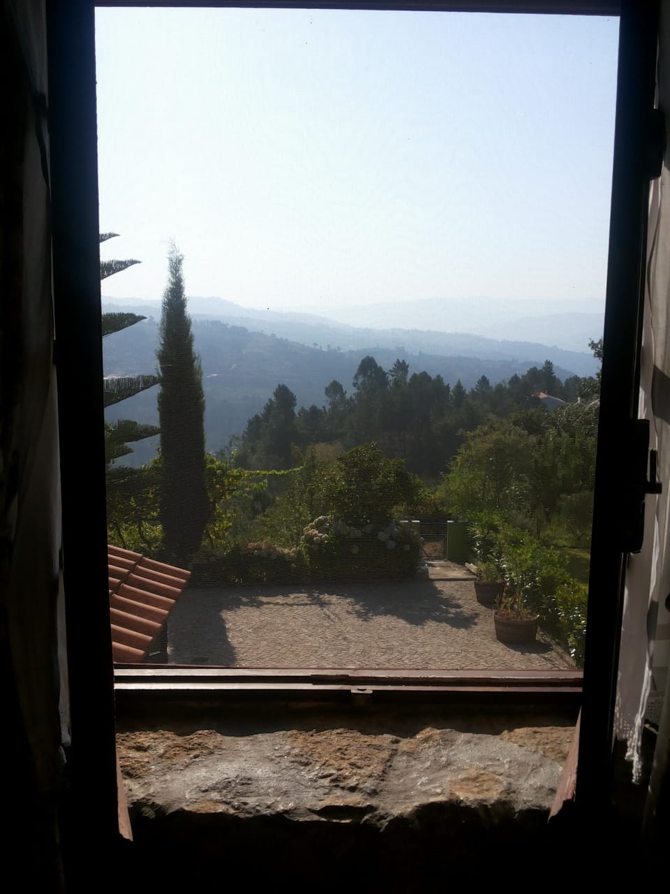 A view from the house.