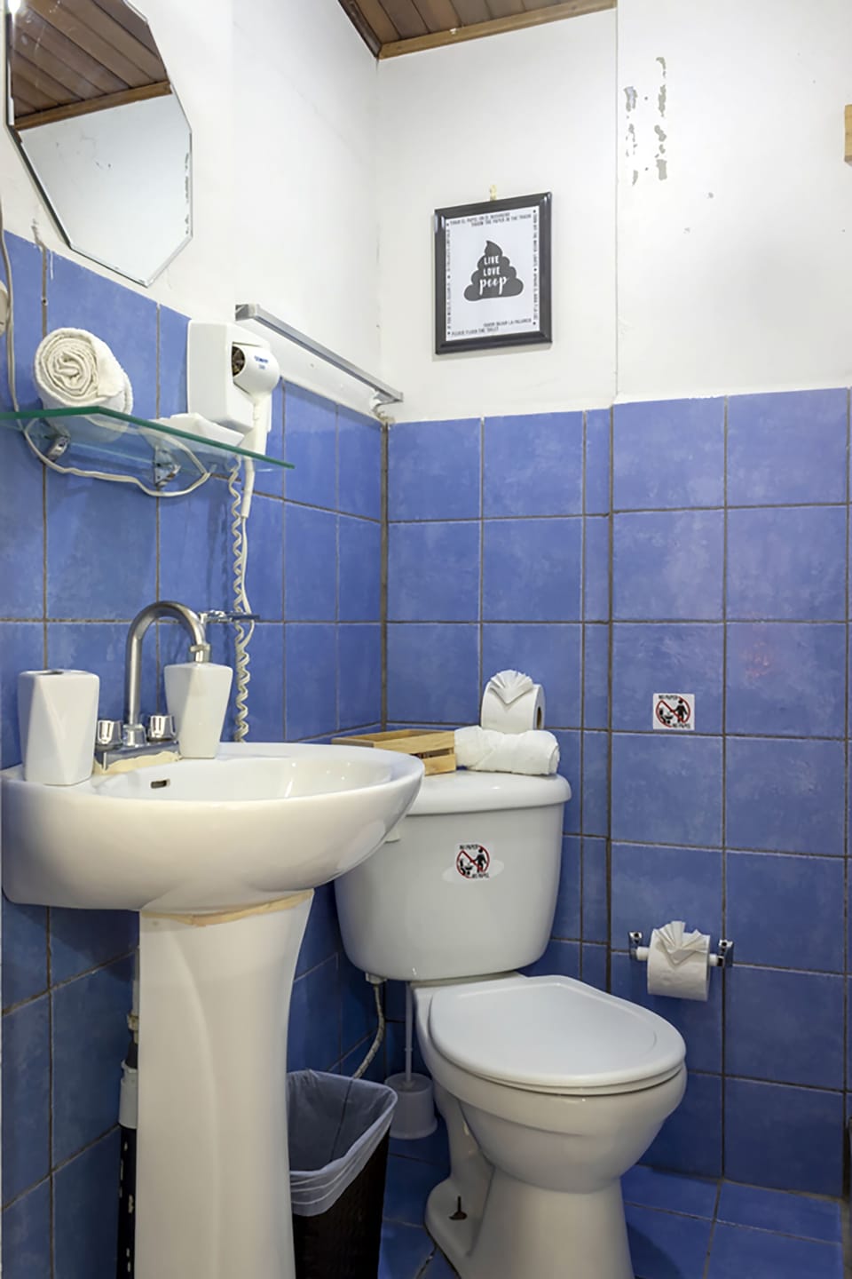 Eco Stay CR Hostel in San Jose
