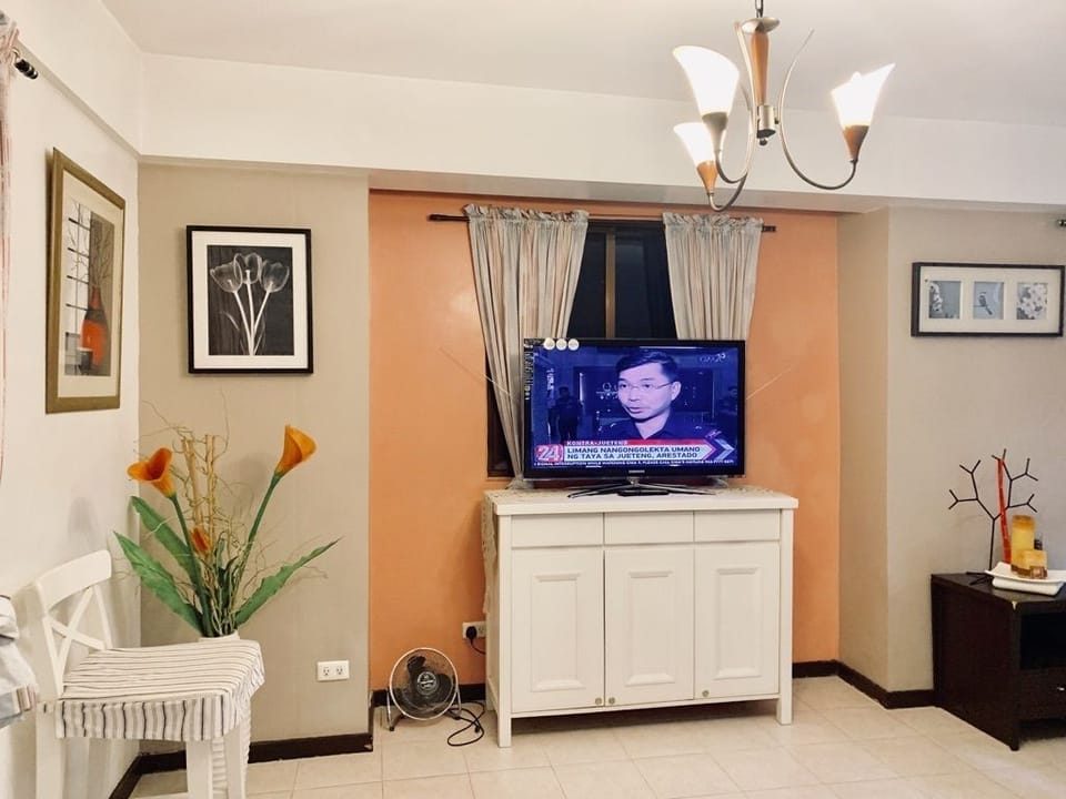 Television