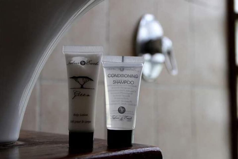 Standard Double or Twin Room | Room amenity