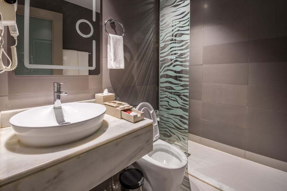 Free toiletries, hair dryer, slippers, bidet