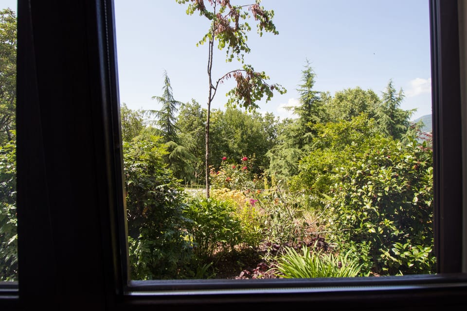 Garden view