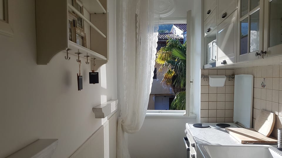 Apartment (A1) | Private kitchen | Fridge, microwave, oven, stovetop