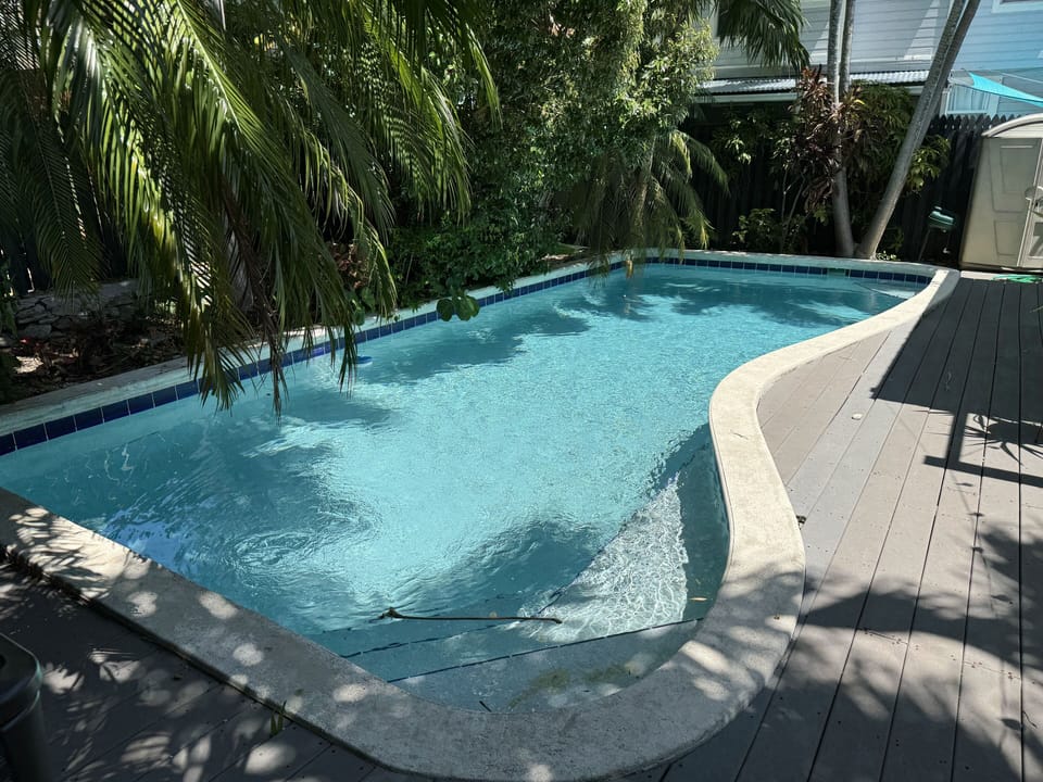 Large swimming pool surrounded by lush landscaping.