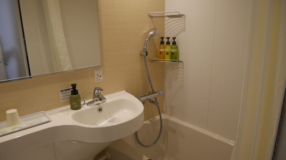 Combined shower/tub, hair dryer, slippers, bidet