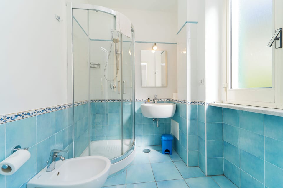 Shower, free toiletries, hair dryer, bidet