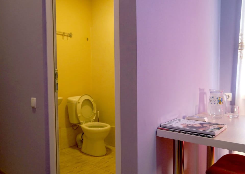 Deluxe Room | Bathroom | Shower, free toiletries, hair dryer, slippers