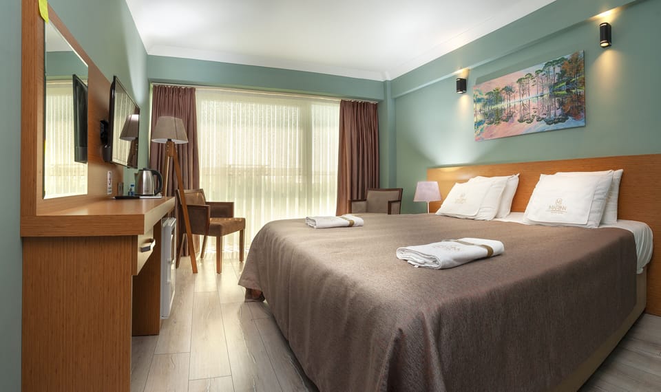 Standard Double Room | Egyptian cotton sheets, premium bedding, in-room safe, desk