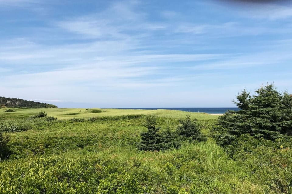 Stroll along our walking paths in the fresh air with views of emerald green sand dunes and the deep blue sea