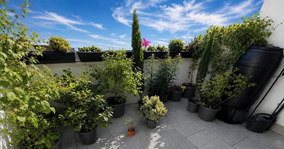 Family Apartment, City View | Terrace/patio