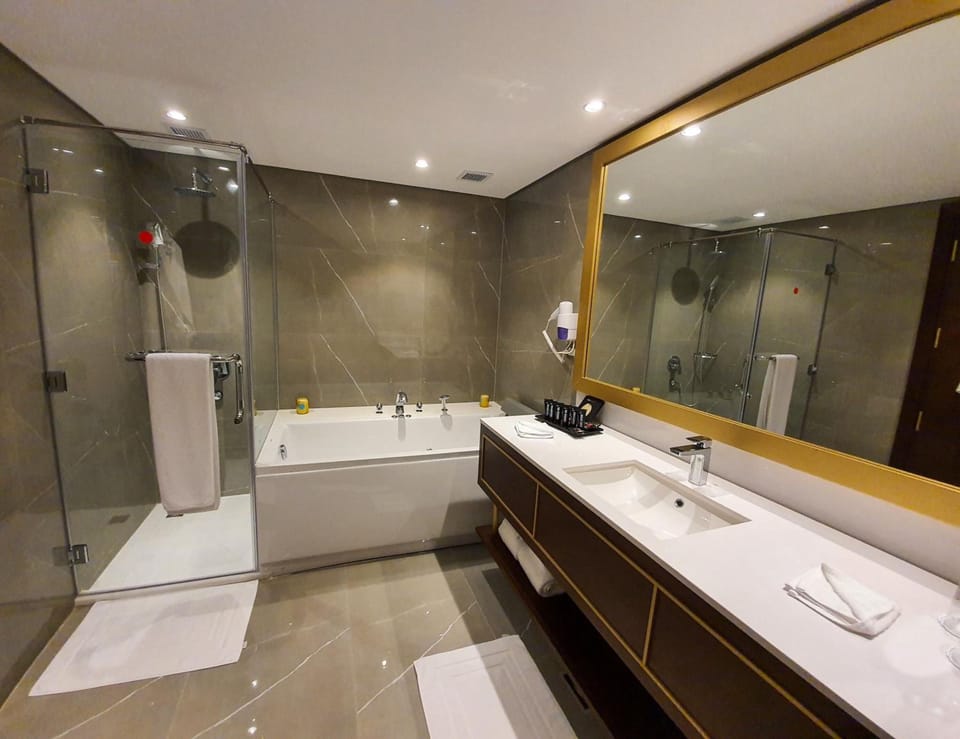 Shower, hair dryer, towels