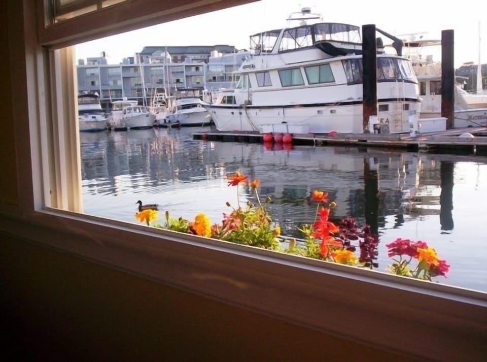 Marina view looking from your back window of GT