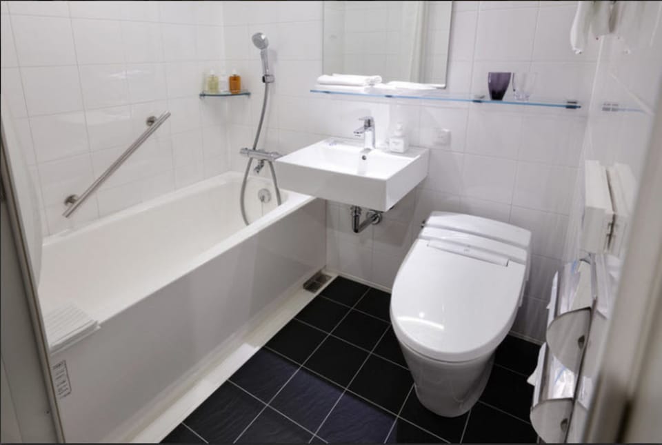 Hair dryer, slippers, electronic bidet, towels