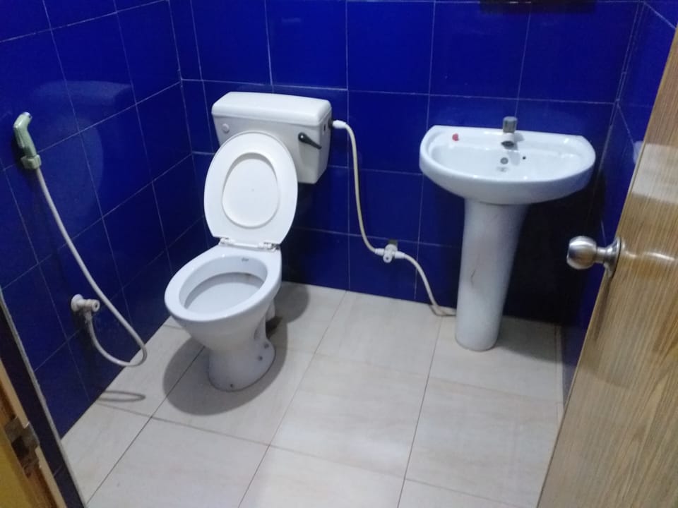 Bathtub, toilet paper