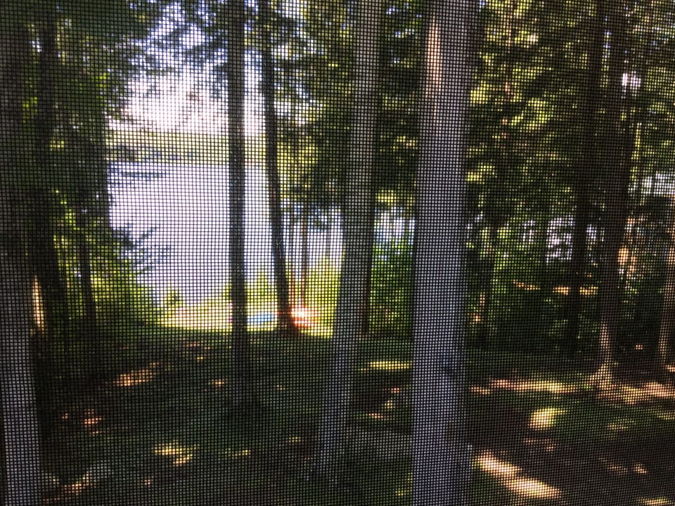View from screened in porch.