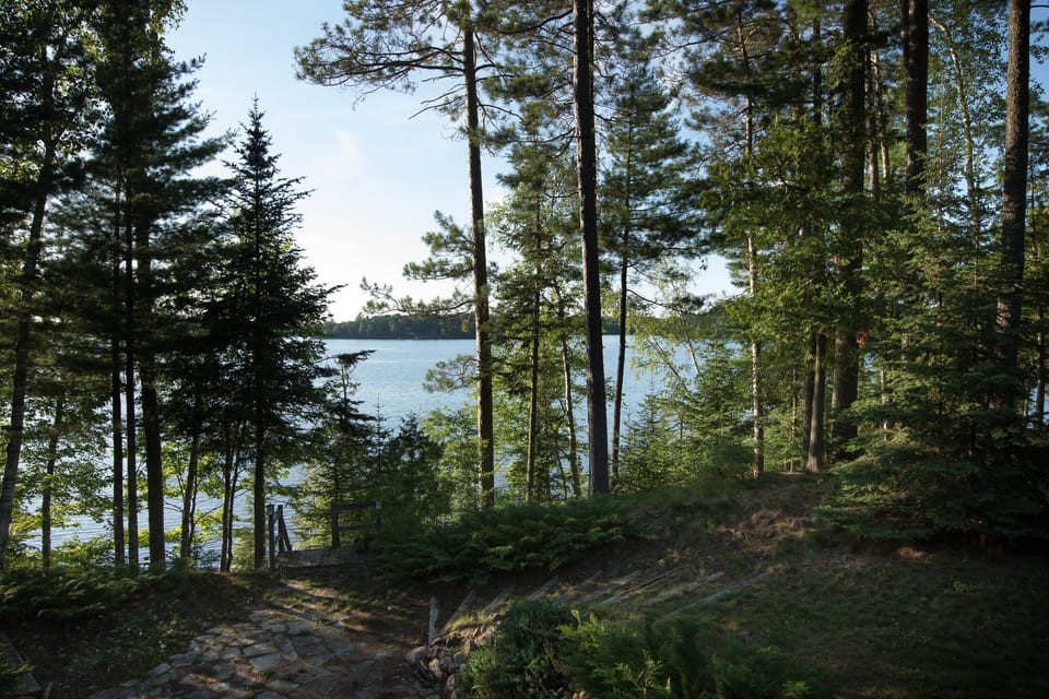 The view from the deck