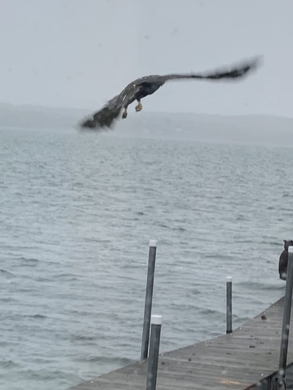 In flight