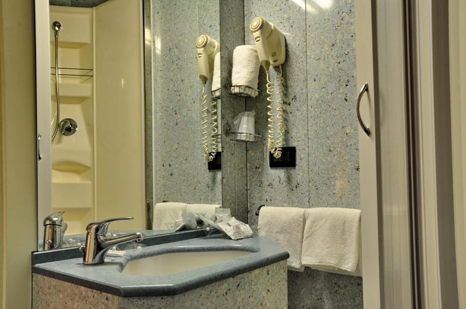 Business Single Room, Non Smoking | Bathroom | Free toiletries, hair dryer, bidet, towels
