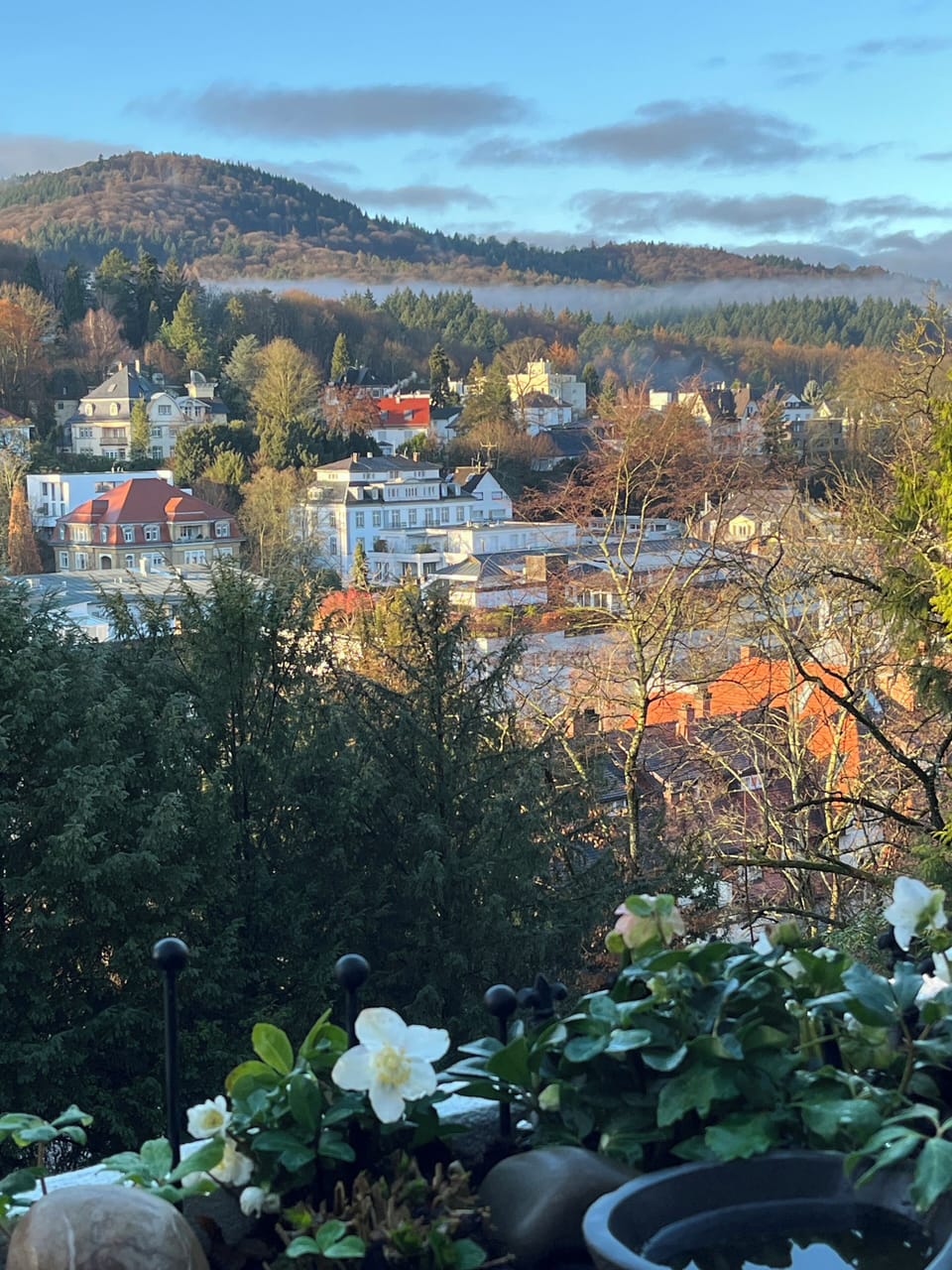 View from property