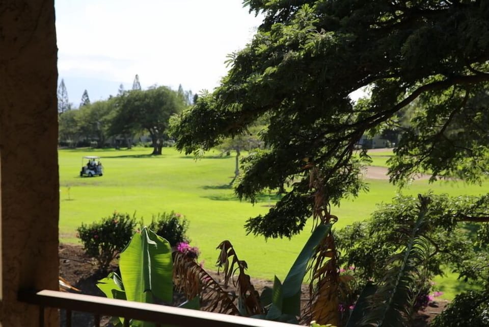 View from Lanai