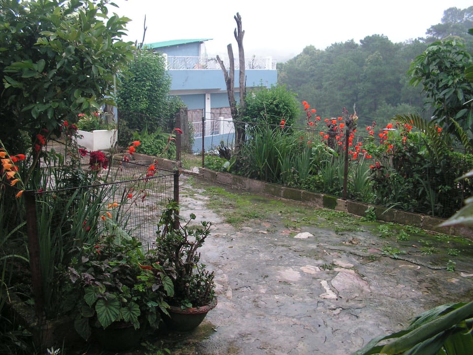 Garden1