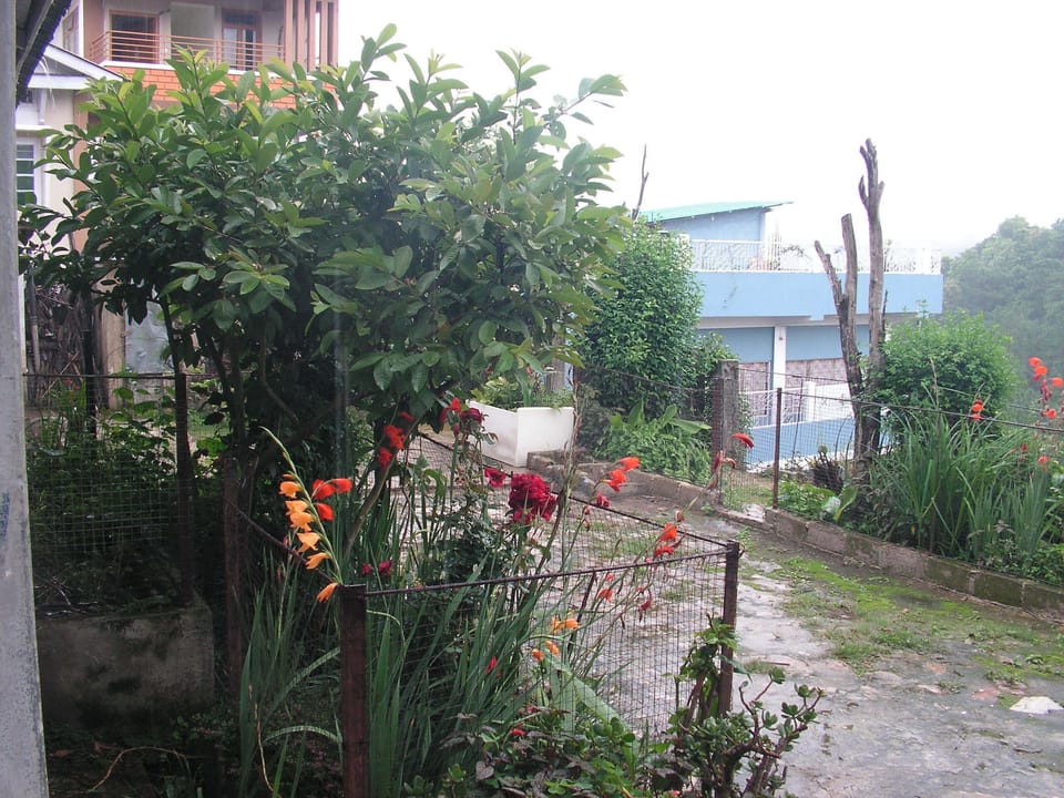 Garden3