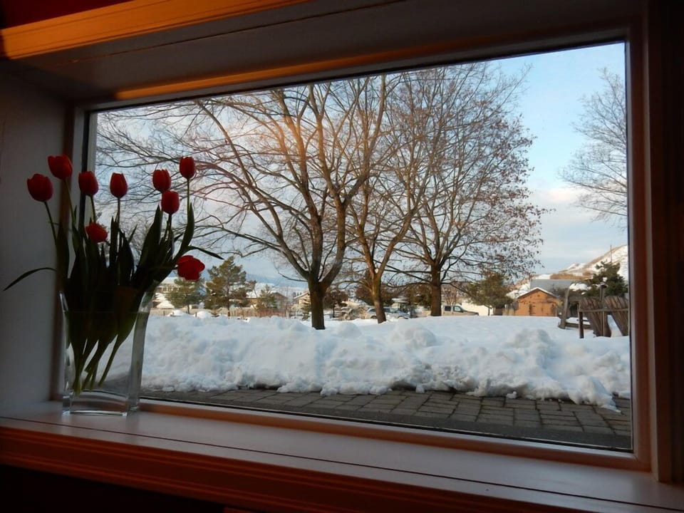 View from kitchen.
