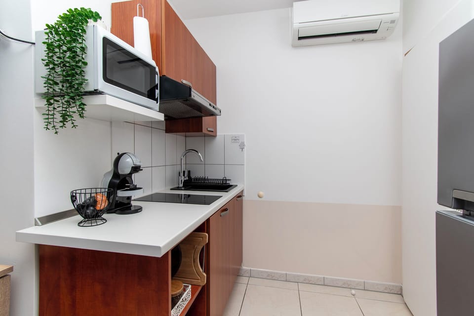 Studio (A2) | Private kitchen | Fridge, electric kettle