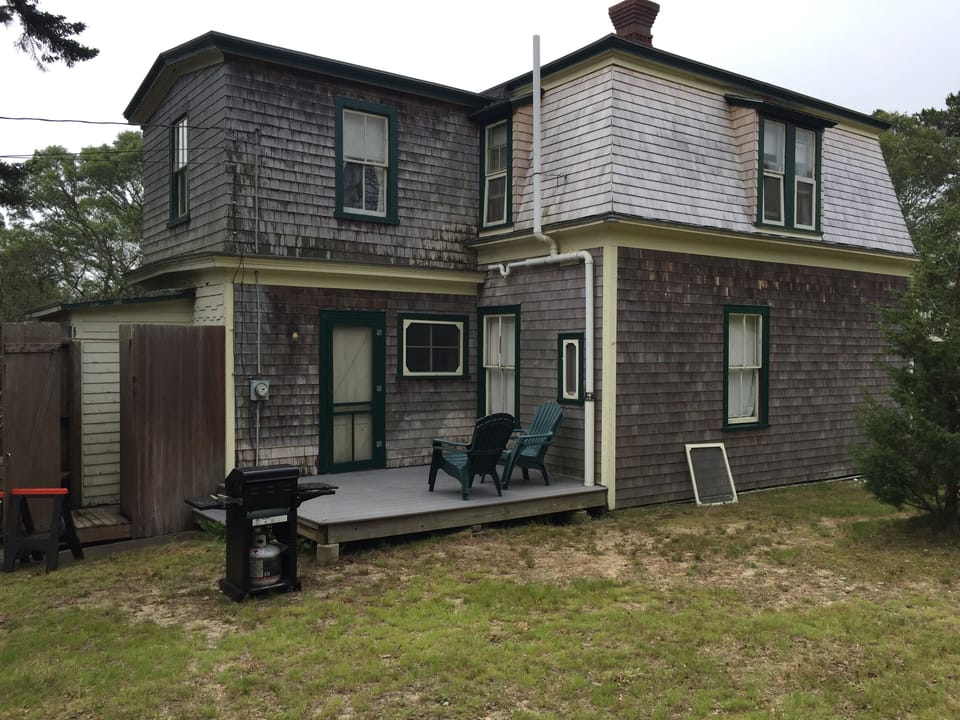 back yard