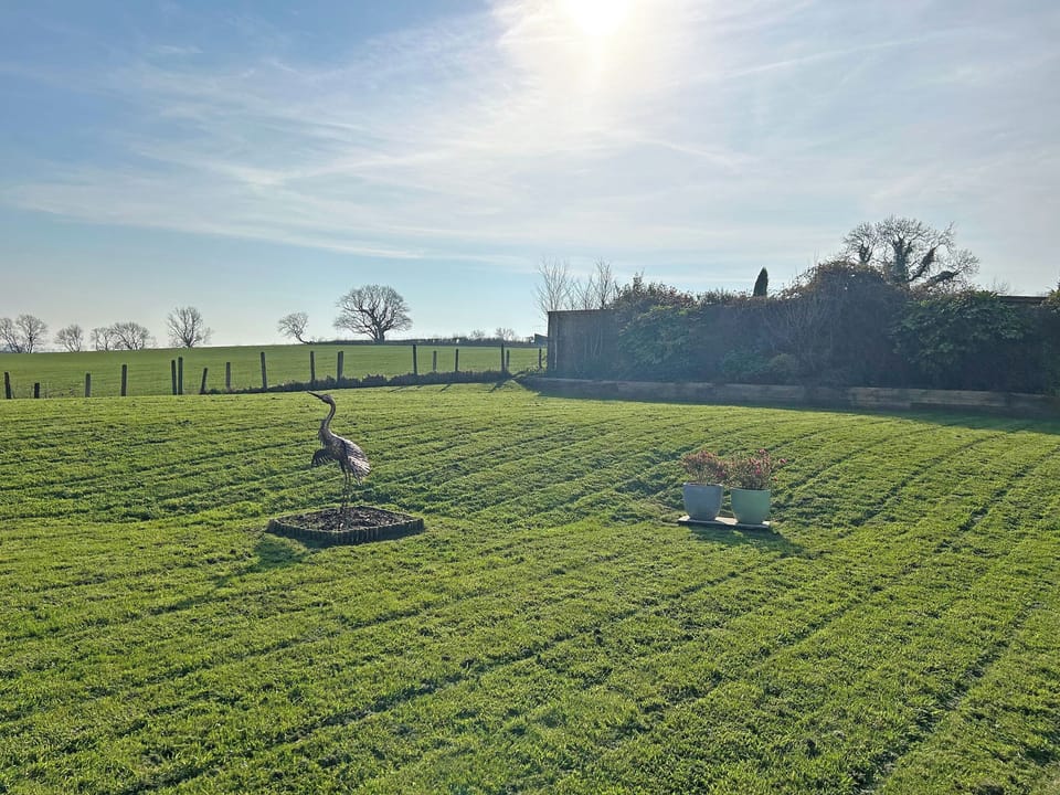 Spring sunshine at Manor Lodge Stables | Manor Lodge Stables, Wiston, near Haverfordwest