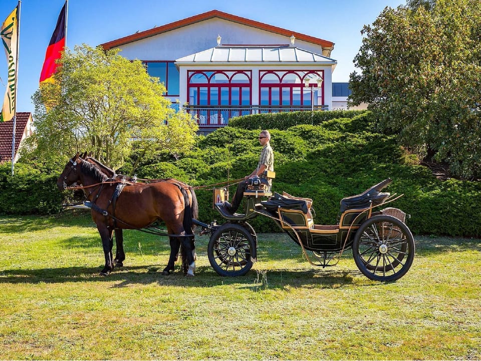 Double room - Hotel Am Gothensee Hotel in Heringsdorf