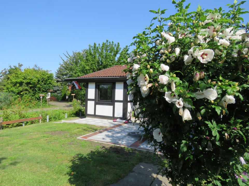 Vacation home 81 Scout 42sqm for max. 4 persons with pet - Holiday home Scout 42 House in Schleswig-Holstein