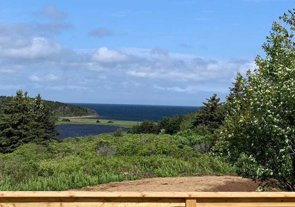 The view from the deck looks like a painting of an ocean. sculpted sand dunes and dune grass