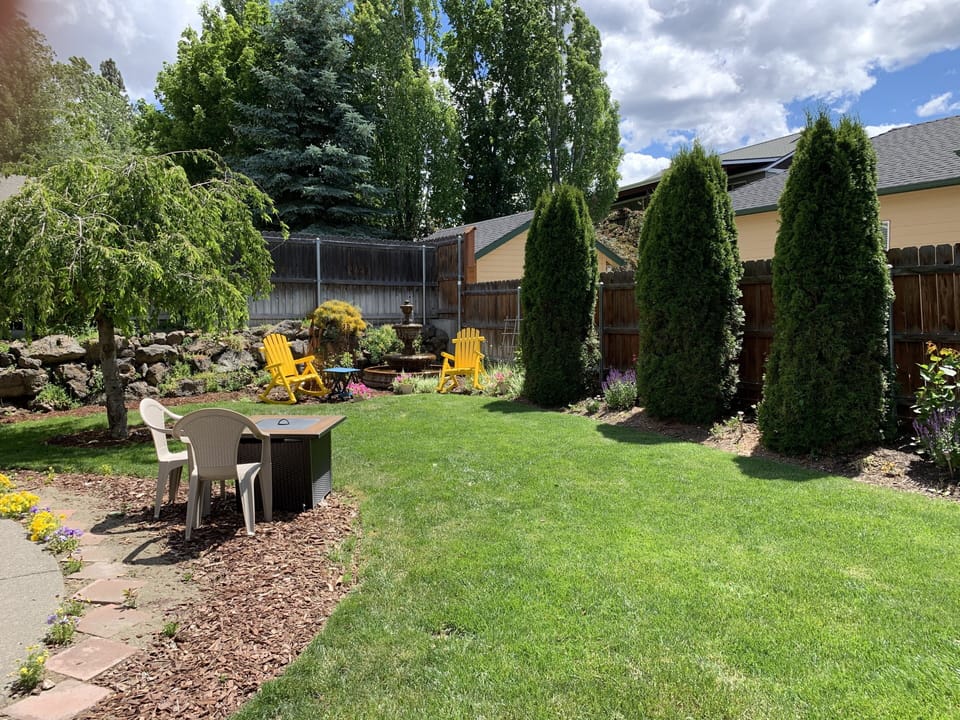Back yard