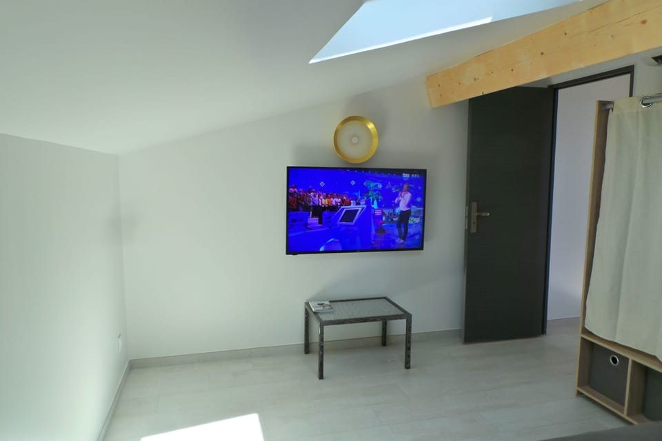 Television