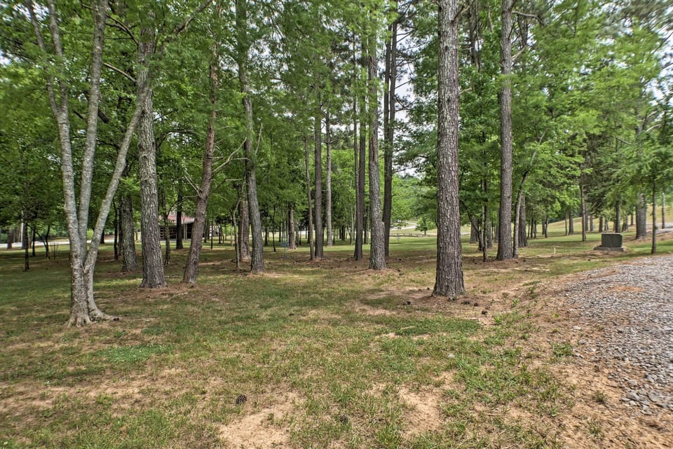 Surrounding Area