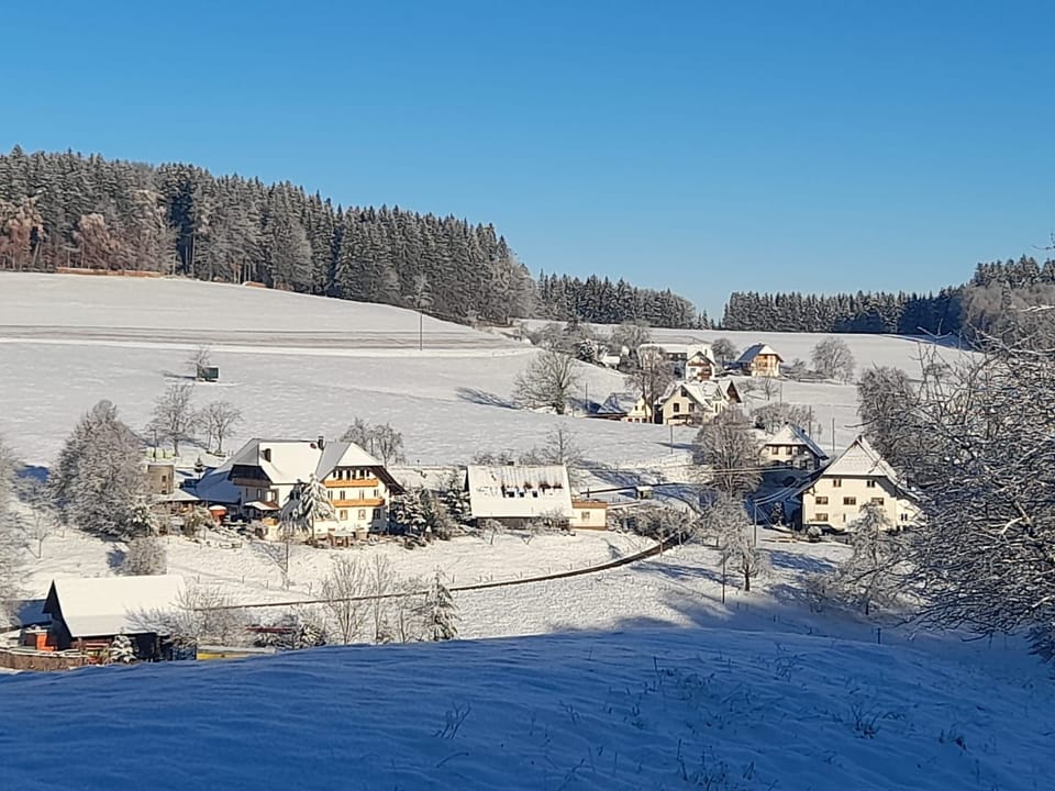 Dischhof - vacation apartment 90sqm, 3 bedrooms, max. 7 pers., 1 - 7 persons Farm Stay in Ortenau