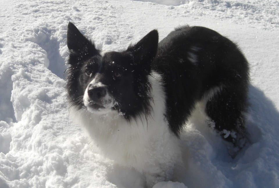 Ferienwohung 2 - Mutzkopfblick - Apart Haus Leni`s Apartment in Trentino-South Tyrol