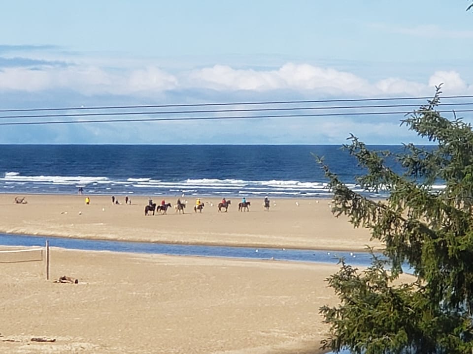 View from the deck, guests riding horses on the beach.