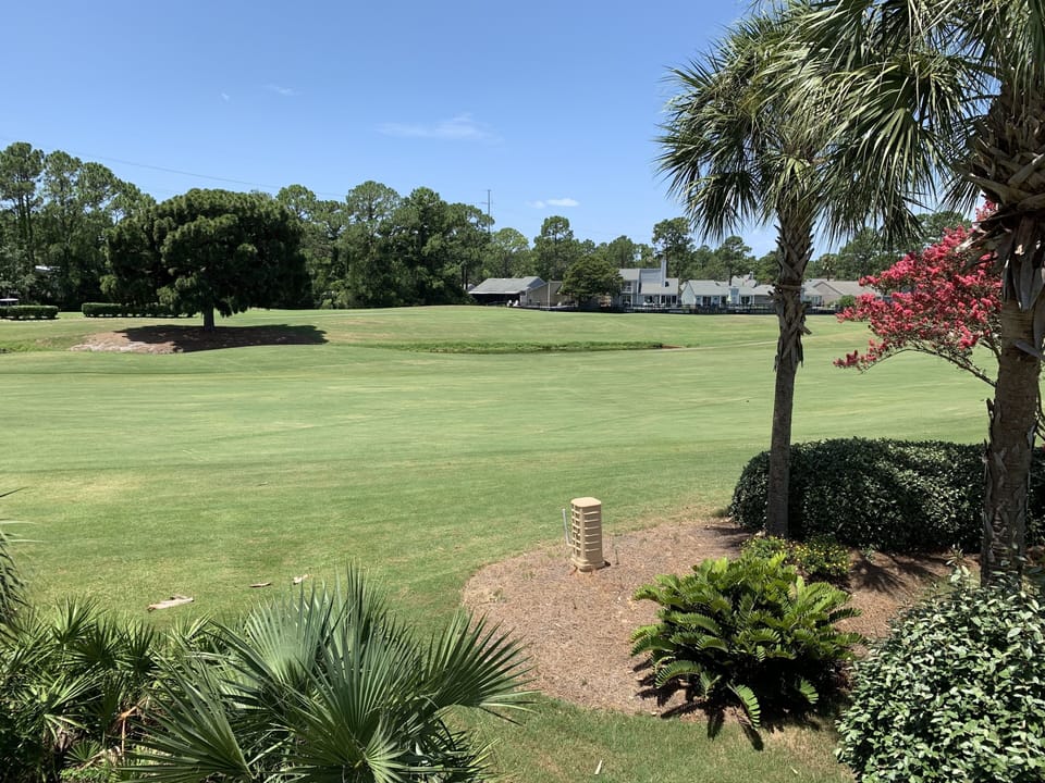 More of golf course