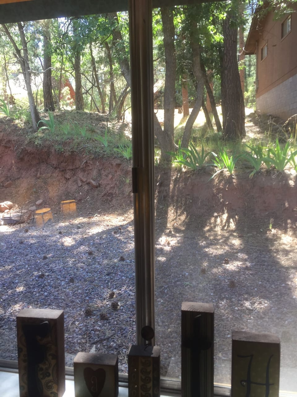 Private TV Room wildlife viewing 