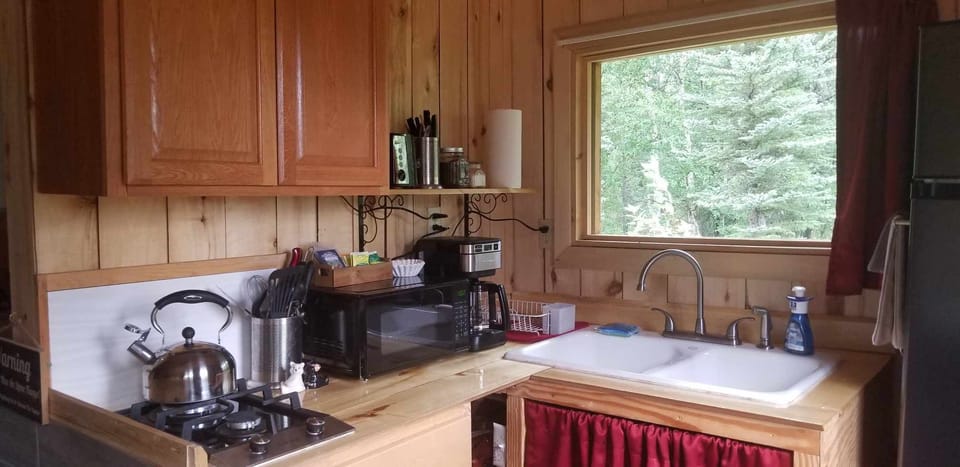 Two burner cook top,  double sink, microwave, coffeepot, toaster & refrigerator