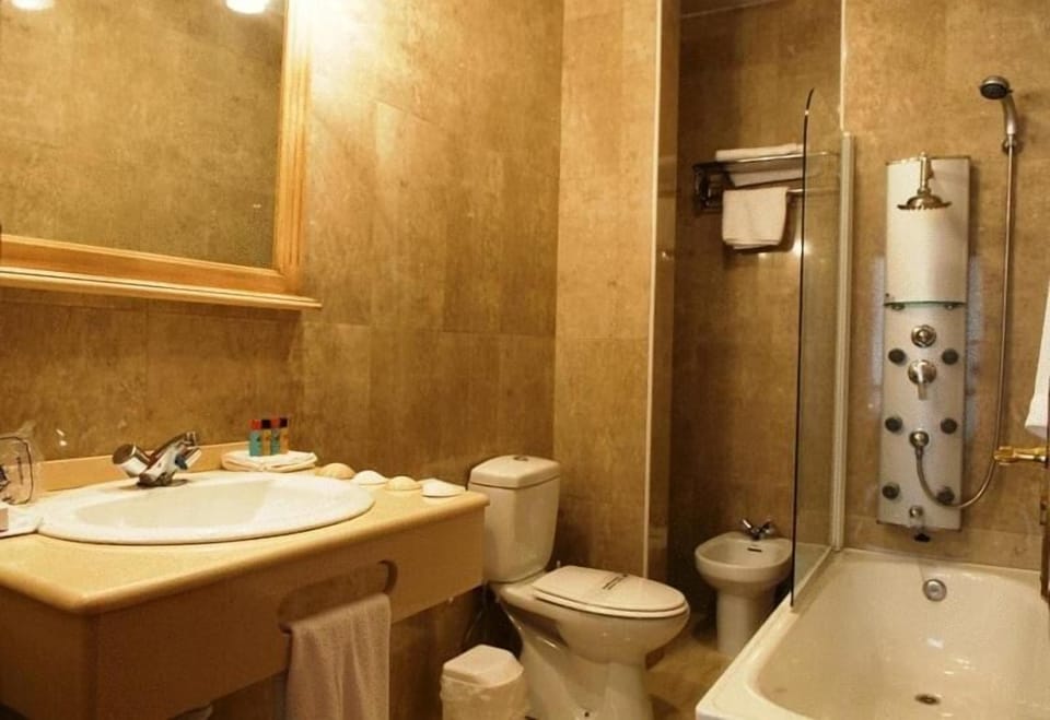 Hair dryer, bidet, towels