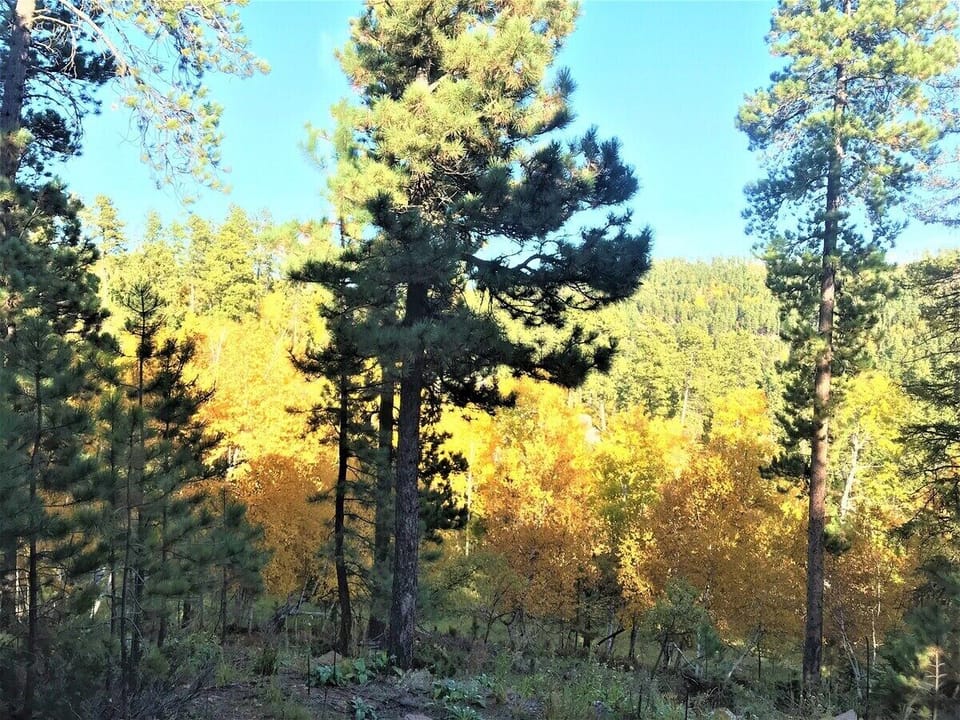 View from the deck