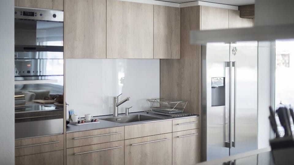 Apartment (Andy) | Private kitchen | Fridge, microwave, oven, stovetop